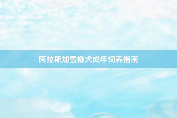 阿拉斯加雪橇犬成年饲养指南