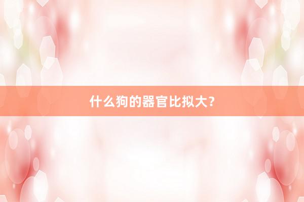 什么狗的器官比拟大？